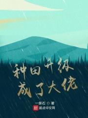 种田文大佬