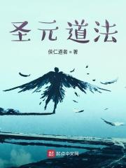 圣道元宝价格