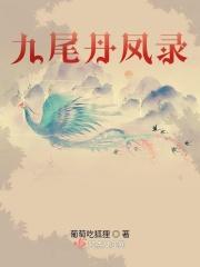 九尾狐凤九