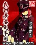 我的老婆是军阀完整