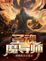 魔导士双魂