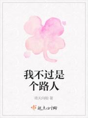 我不过是个路人是什么歌