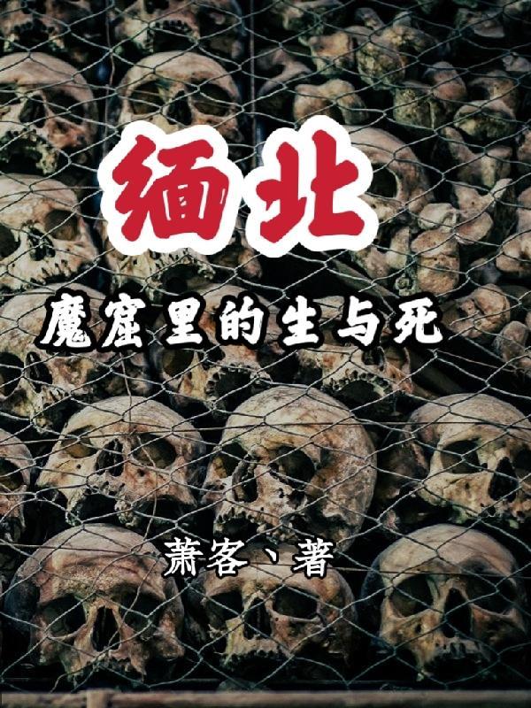 缅北的遭遇