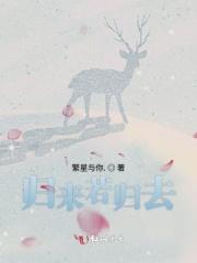 归去来什么