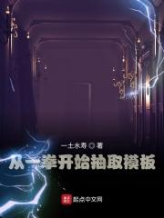 从一拳开始的假面