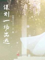 出谋划策