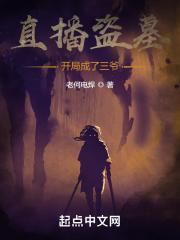 直播盗墓系统