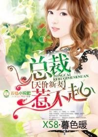 天价宠儿总裁新妻免费阅读全文