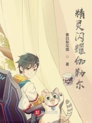 伽勒尔闪光图鉴