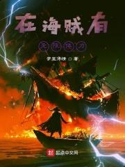 海贼的无限技能
