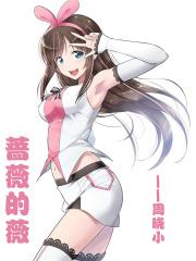蔷薇的薇字怎么写