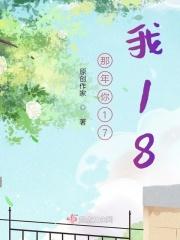 那年你十七我十八是什么歌