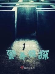侦警什么意思