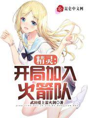 精灵开局加入火箭队全文免费