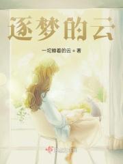 逐梦歌词