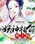 妖孽相公逆天妻