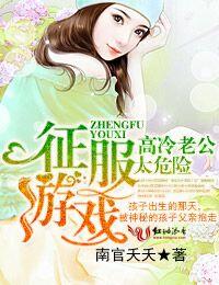 征服高冷大小姐简介