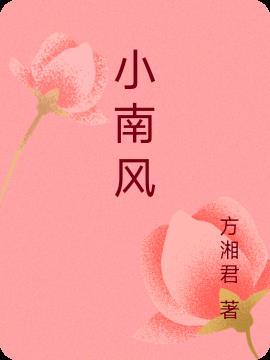 小南风演员表