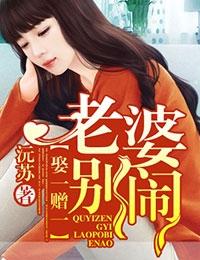 娶一赠一老婆顾情阅读全文
