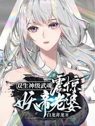 双生武魂免费阅读