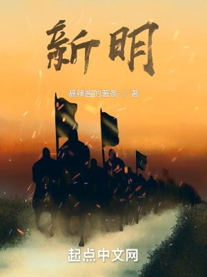 新明中国