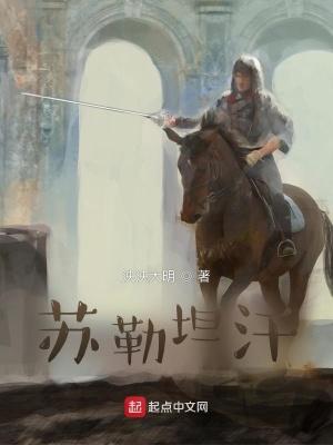 大漠雄鹰苏勒坦汗txt百度