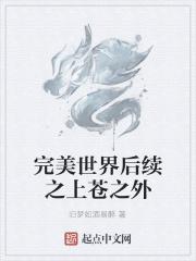完美世界后续之上苍之外全文免费阅读