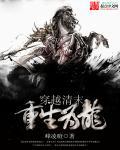 穿越清朝重生成龙