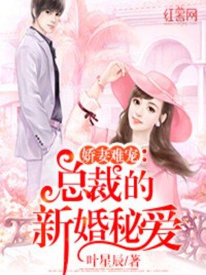 总裁的新婚秘爱书包简介