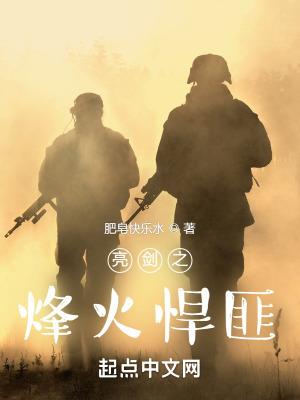 亮剑之铁血军魂笔趣阁
