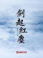红尘剑客歌词
