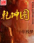 乾坤图是什么