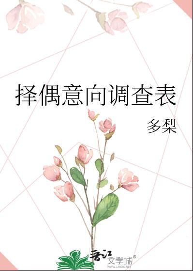 择偶标准分析表格