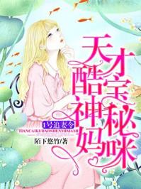 天才酷宝神秘妈咪免费阅读