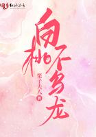 白桃乌龙对应什么