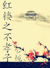 红楼之不孝子txt