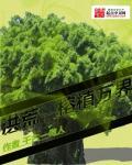 洪荒之万界管理员免费阅读