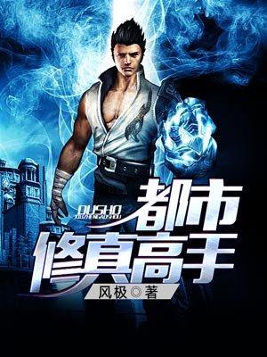 都市修真高手叶枫全文阅读