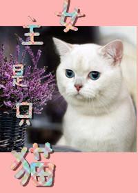 女主是猫的