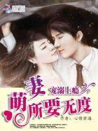 宠上小萌妻免费阅读全文
