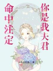命中注定你是我夫君是什么歌