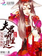 宠夫完结