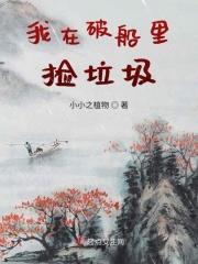 我在捡碎片全文阅读