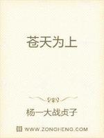 电视剧苍天在上