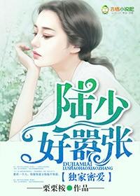 独家密婚陆少的心尖宠妻