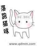 猫咪跑掉了