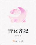 齐妃几岁