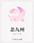 但悲不见九州同