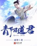 主角叫青阳道人的