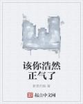 浩然正气是什么意思解释